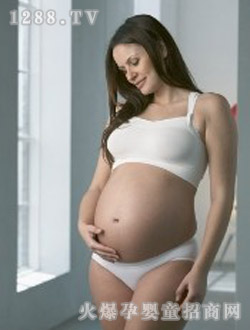 美德樂yunf托腹帶