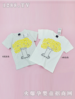 С��D����������Q260