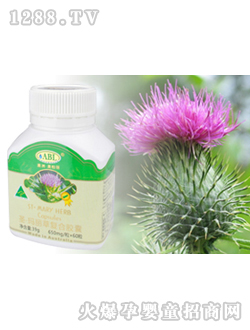 �İ���ʥ�������z��