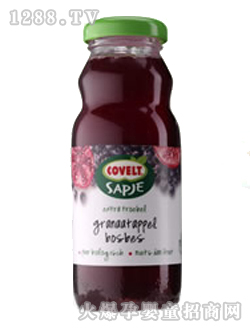 ��ݮ��ݮ�t���ЙC(j��)˼Ľ