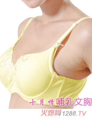 ʮ���鼃�޲��������S