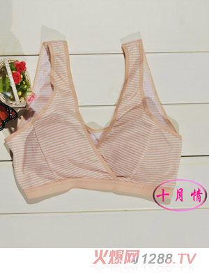 ʮ����ǰ�������_ʽι������