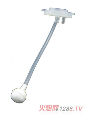 Сϣ��yinge����