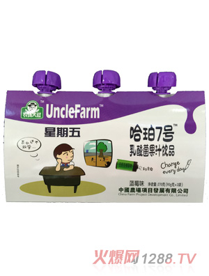 農(nóng)場(chǎng)大叔藍(lán)莓味乳酸菌果汁飲品