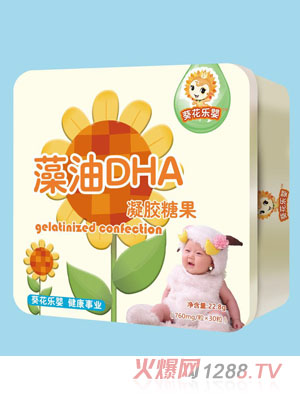 ������(l��)������DHA���z�ǹ�