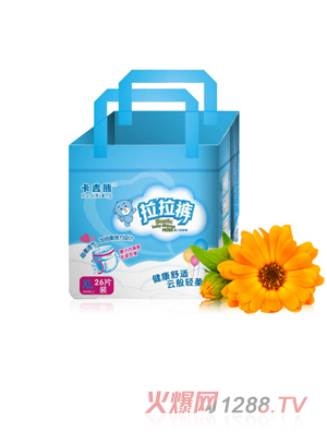 ����������ѝXL26