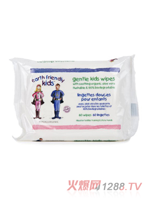 蝶雅絲60片裝溫和yinge濕巾