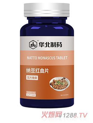 �A����ˎ�{���t��Ƭ