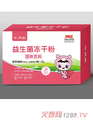 ʮ�������������ɷ�