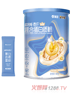 �����Ǳ������w�ͺϵ����|��