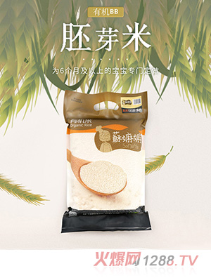 �K�����������׹���