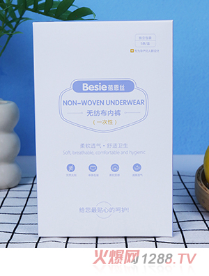 蓓恩絲無紡布內(nèi)褲(一次性)